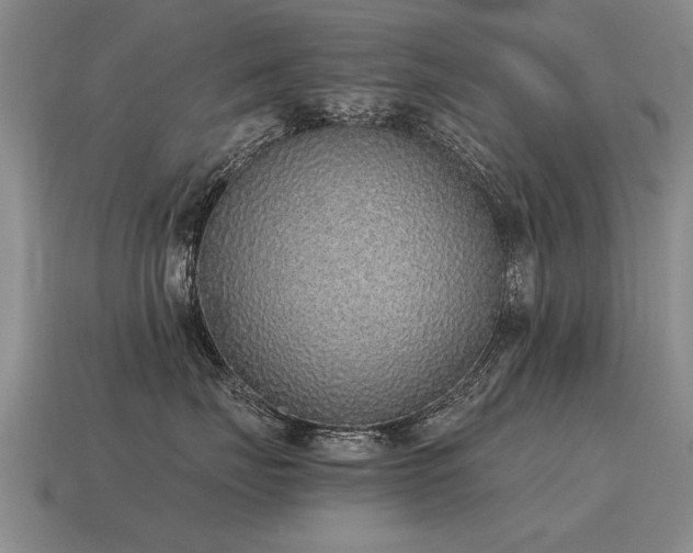 X0000115600671200911101407