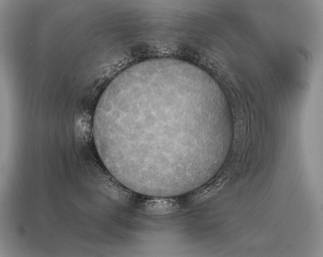 X0000115600672200911101407