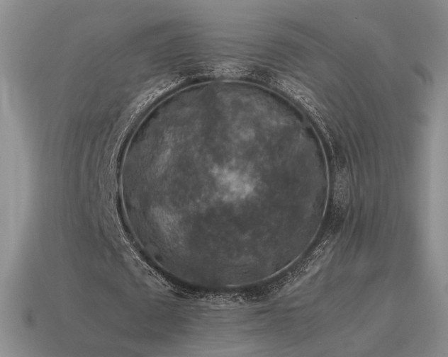 X0000115600673200911101406