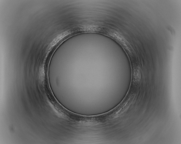 X0000115600674200911101406