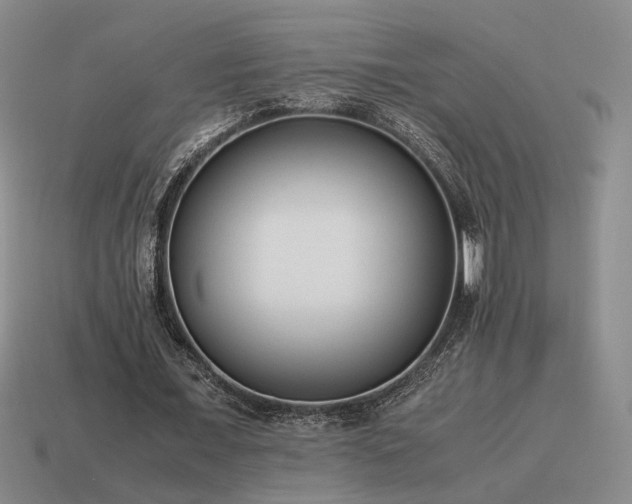 X0000115600675200911101406