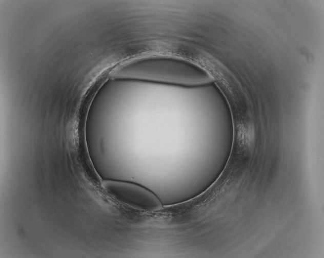 X0000115600676200911101406