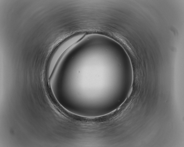 X0000115600677200911101406