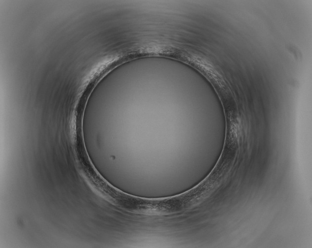 X0000115600678200911101406