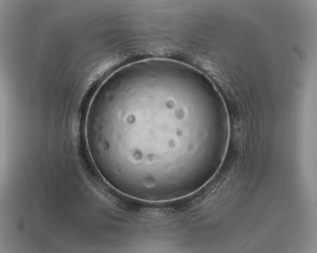 X0000115600679200911101406