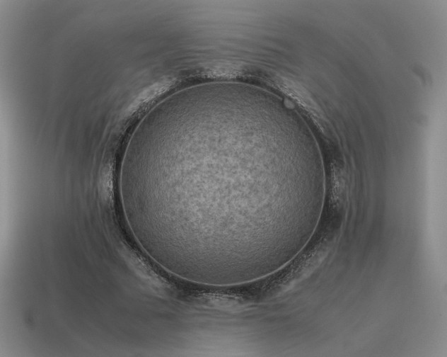 X0000115600681200911101406