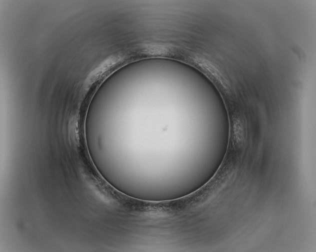 X0000115600682200911101406