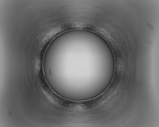 X0000115600683200911101406