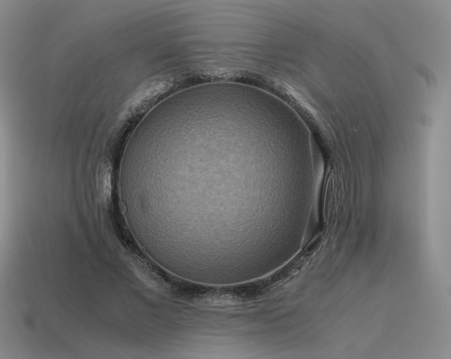 X0000115600685200911101406