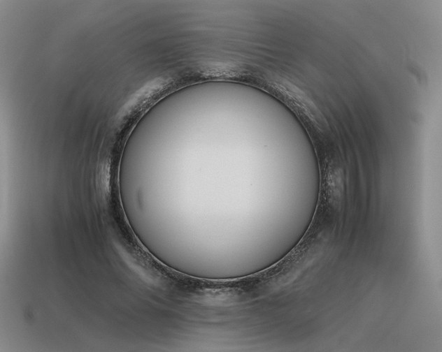 X0000115600686200911101406