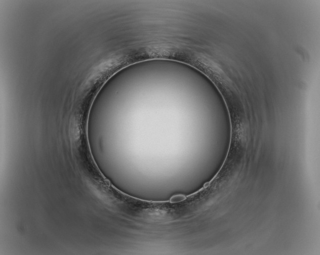 X0000115600687200911101406