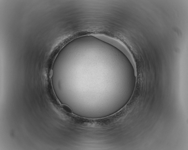 X0000115600688200911101406