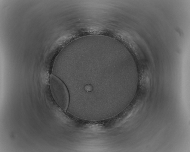 X0000115600689200911101406