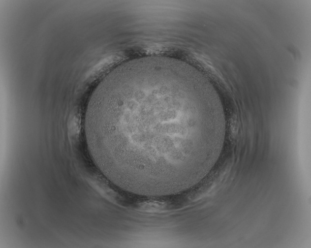 X0000115600691200911101406