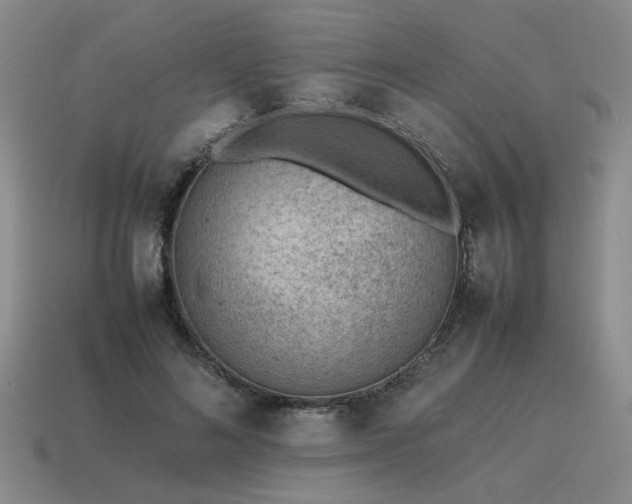 X0000115600692200911101406