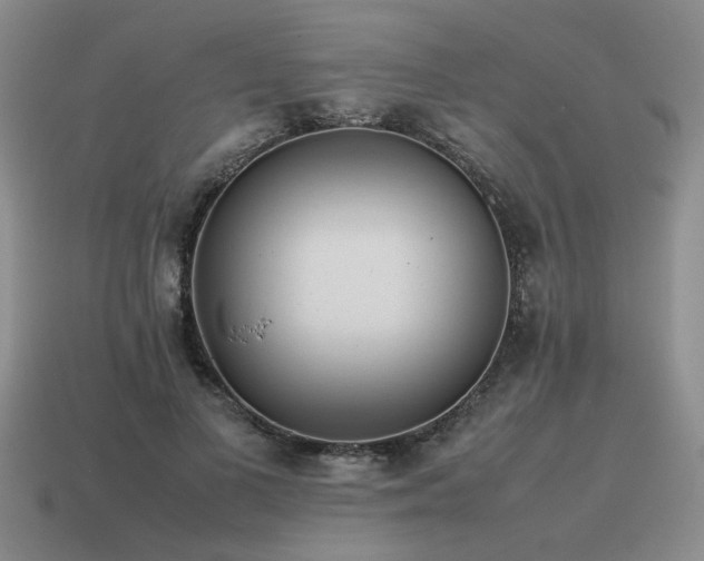 X0000115600693200911101406