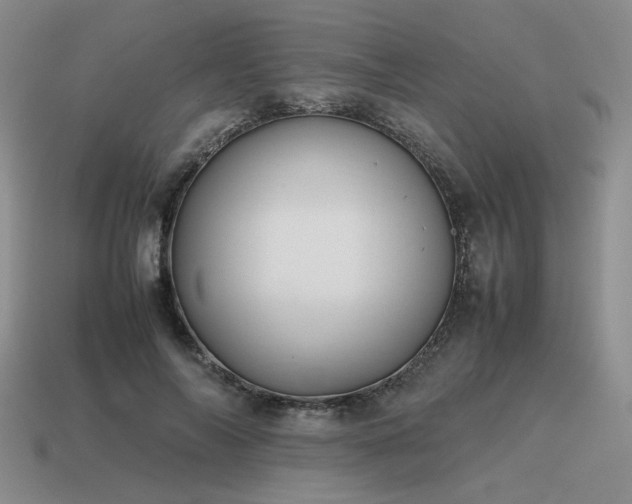 X0000115600694200911101406