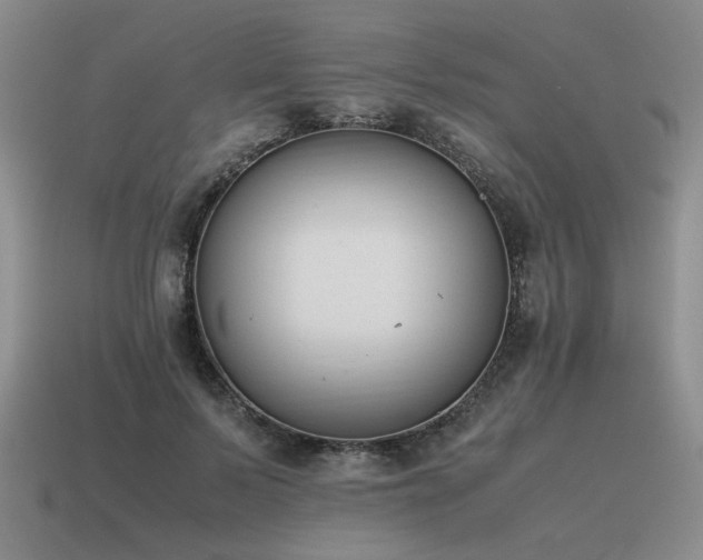 X0000115600695200911101406