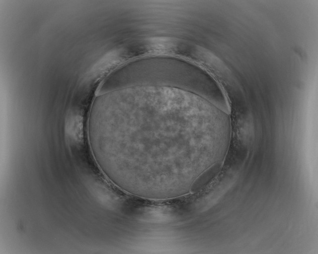 X0000115600696200911101406