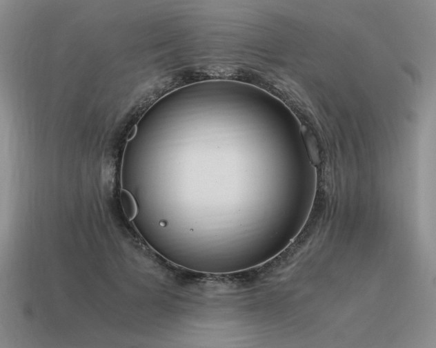 X0000115600697200911101406