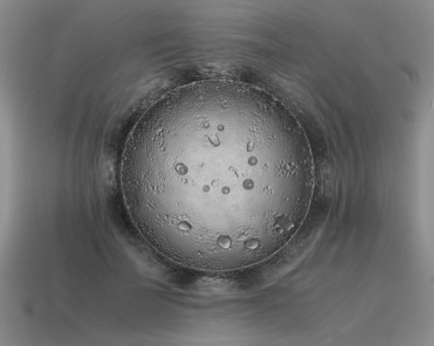 X0000115600699200911101406