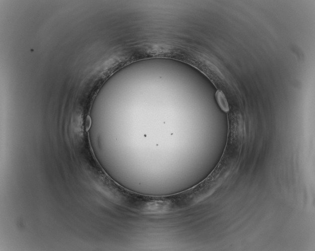 X0000115600700200911101406