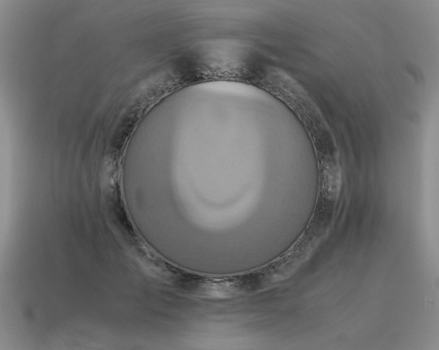 X0000115600701200911101406