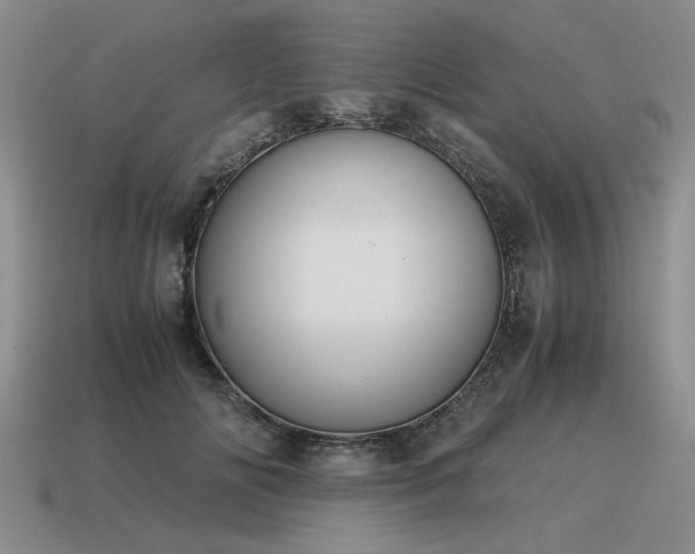 X0000115600702200911101406