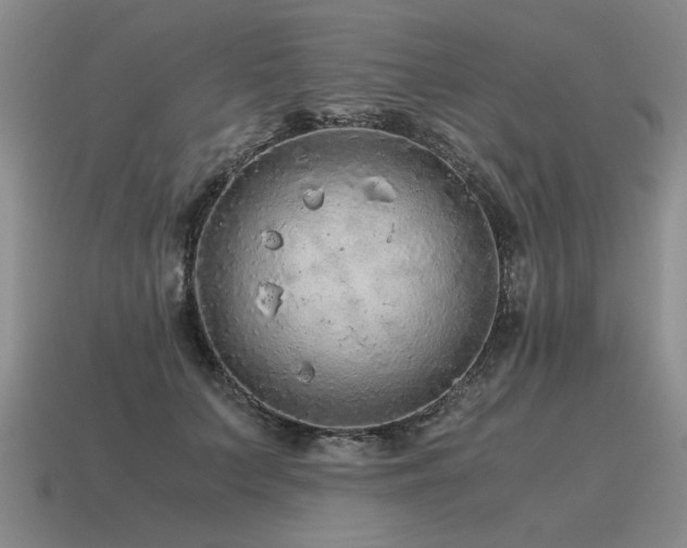 X0000115600703200911101406