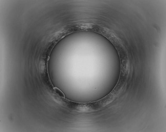 X0000115600704200911101406