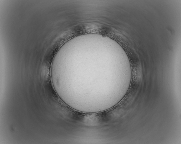 X0000115600705200911101406