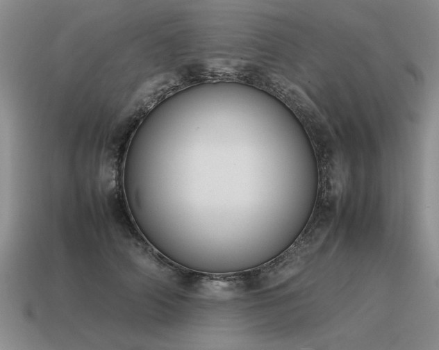 X0000115600706200911101406