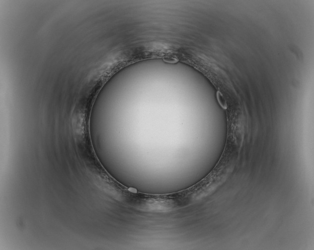 X0000115600708200911101406