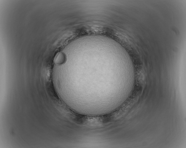 X0000115600709200911101406