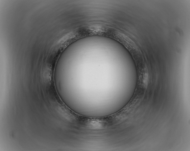 X0000115600710200911101406