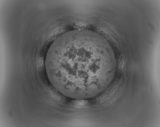 X0000115600711200911101406