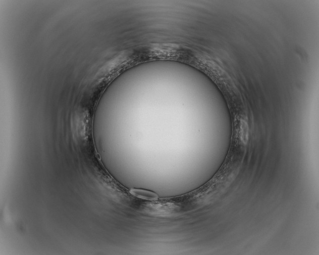 X0000115600712200911101406