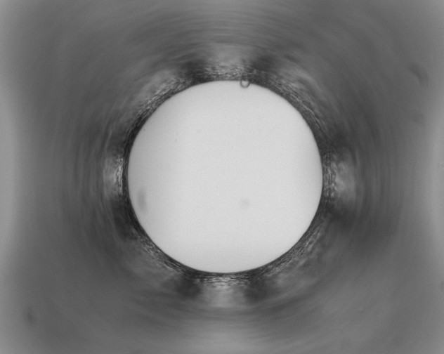 X0000115600717200911101406