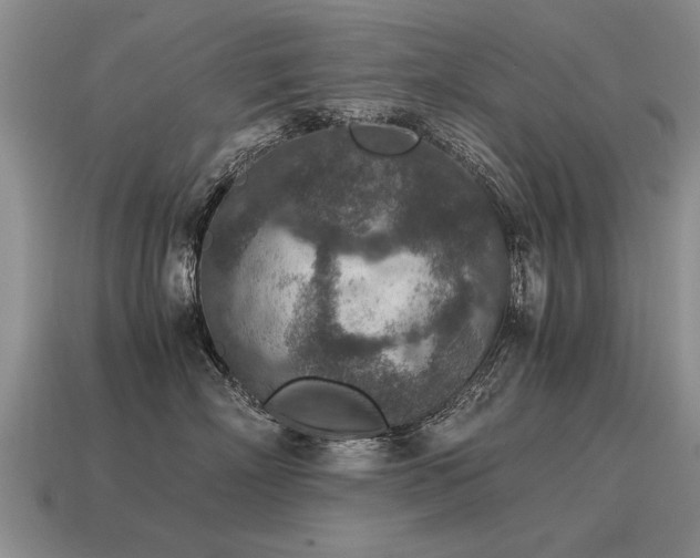 X0000115600718200911101406