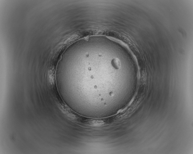 X0000115600719200911101406