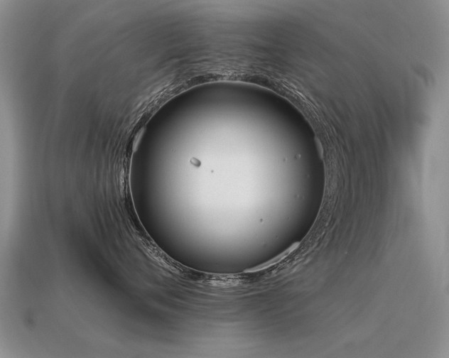 X0000115600720200911101406