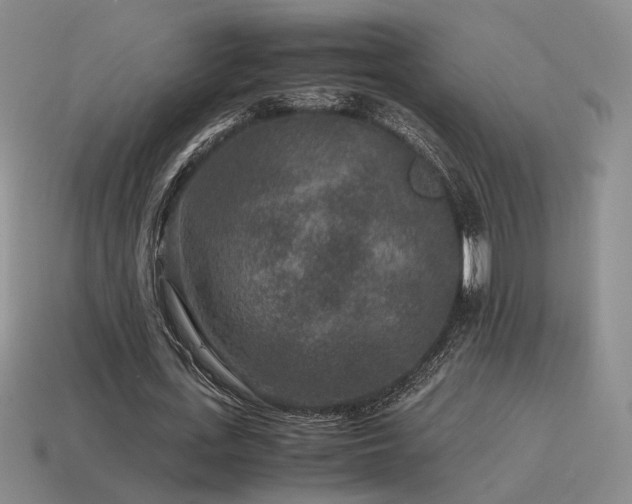 X0000115600723200911101405