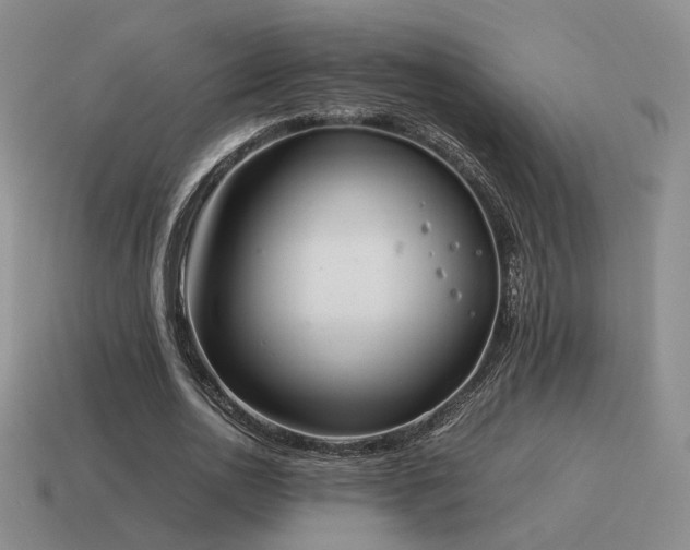 X0000115600726200911101405