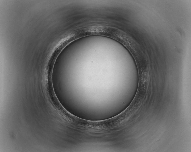 X0000115600727200911101405