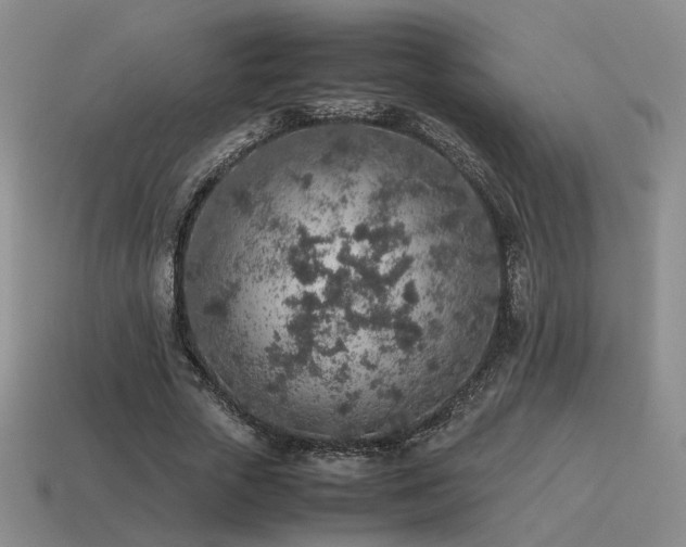 X0000115600729200911101405