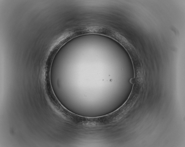 X0000115600730200911101405