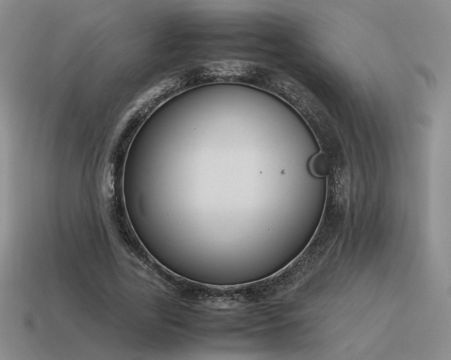 X0000115600731200911101405