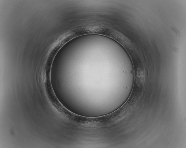 X0000115600734200911101405