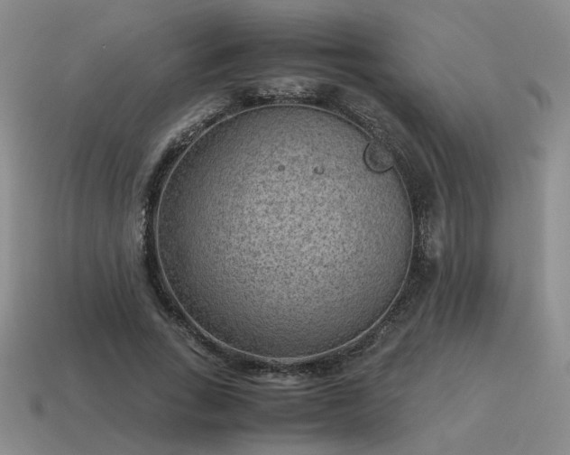 X0000115600735200911101405