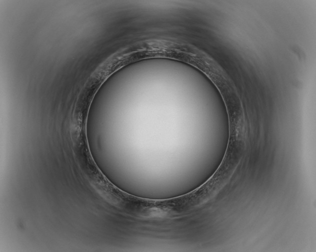 X0000115600737200911101405
